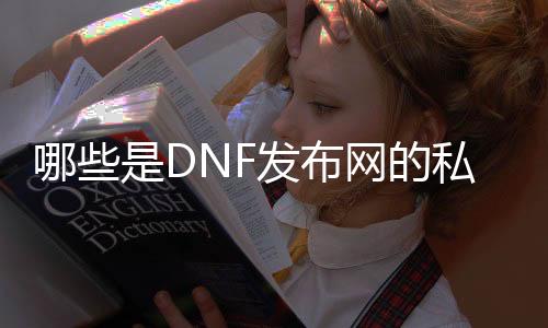 哪些是DNF发布网的私服