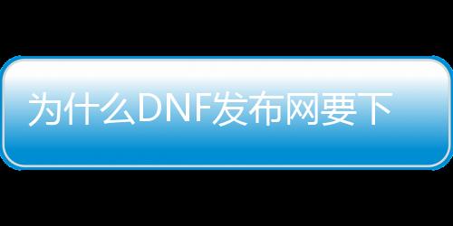 为什么DNF发布网要下那么久