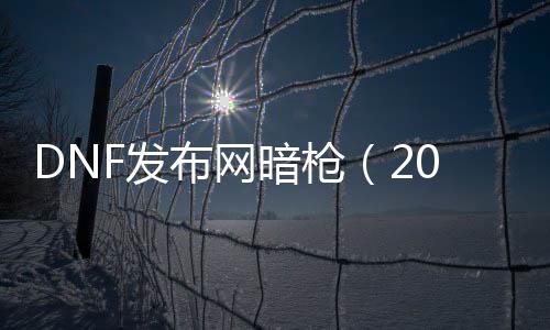 DNF发布网暗枪（2021dnf暗枪装备）