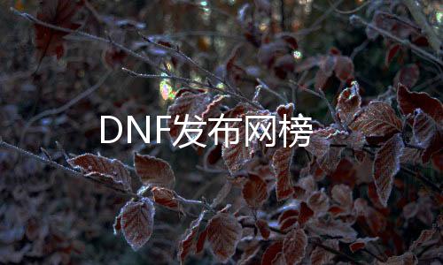 DNF发布网榜