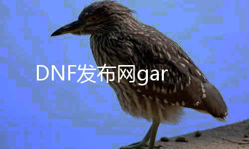 DNF发布网gar