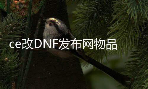 ce改DNF发布网物品数量（ce修改DNF发布网代码大全）